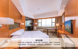 行政大床房